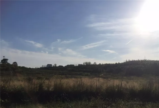 微信圖片_20190808232001