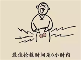 C:\Users\Administrator\Desktop\睪丸扭轉(zhuǎn)\微信圖片_20211220203057.png